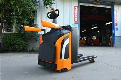 Transpallet elettrico con supporto